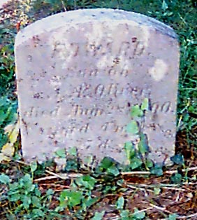 cp0630.jpg (41295 bytes)