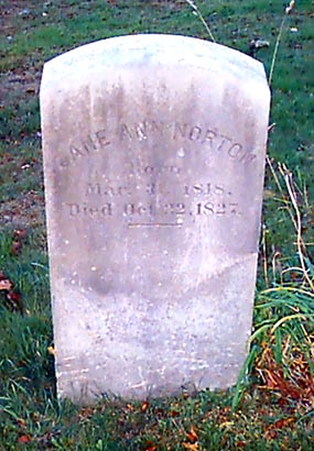 cp0714.jpg (41988 bytes)