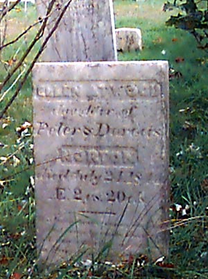cp0806.jpg (42698 bytes)