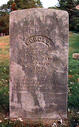 cp0808.jpg (42545 bytes)