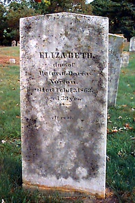 cp0809.jpg (45835 bytes)