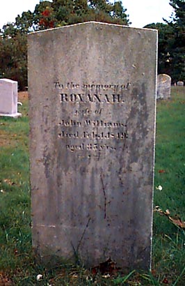 cp0811.jpg (34873 bytes)