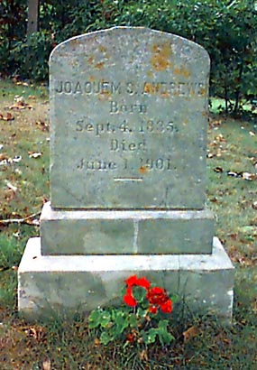cp0815.jpg (43497 bytes)
