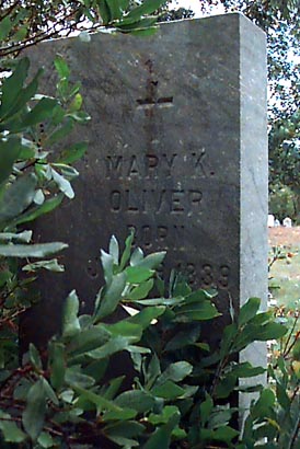 cp0819.jpg (40157 bytes)