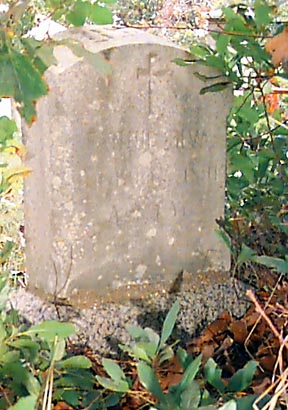 cp0820.jpg (44435 bytes)